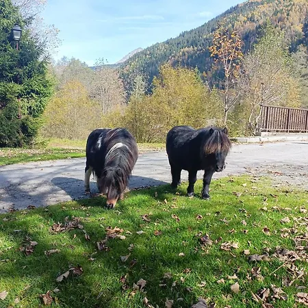 Le Cocon Des Cimes Les Contamines-Montjoie