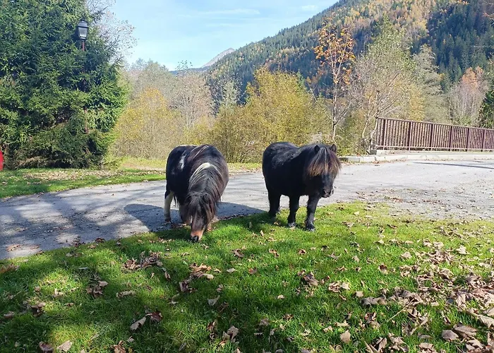 Le Cocon Des Cimes Les Contamines-Montjoie